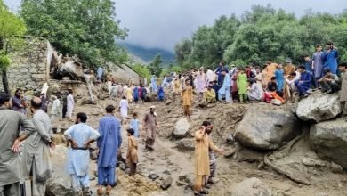 3f589ceb 6274 4e1d 8144 275436f98458