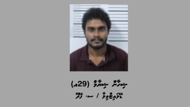 9f00a576 ddc8 4df6 a33c c639aba03d44