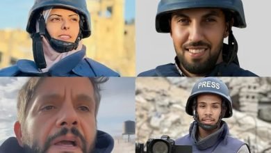 c2d7c8c5 93e0 4ebe 941c e43d897d70ee