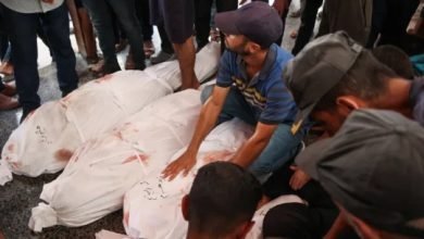 e3f6c508 ad80 423c a769 163c4513e799