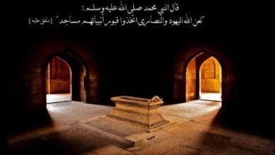 photo 2025 08 27 11 39 17