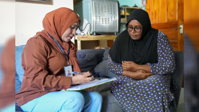 Haalukihiney program