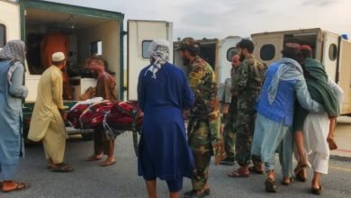 d7c92c12 a00e 4f42 8537 ab25b67ea999