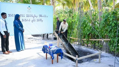daranboodhoo sihhee marukazu binga