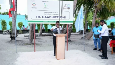 gaadhiffushi