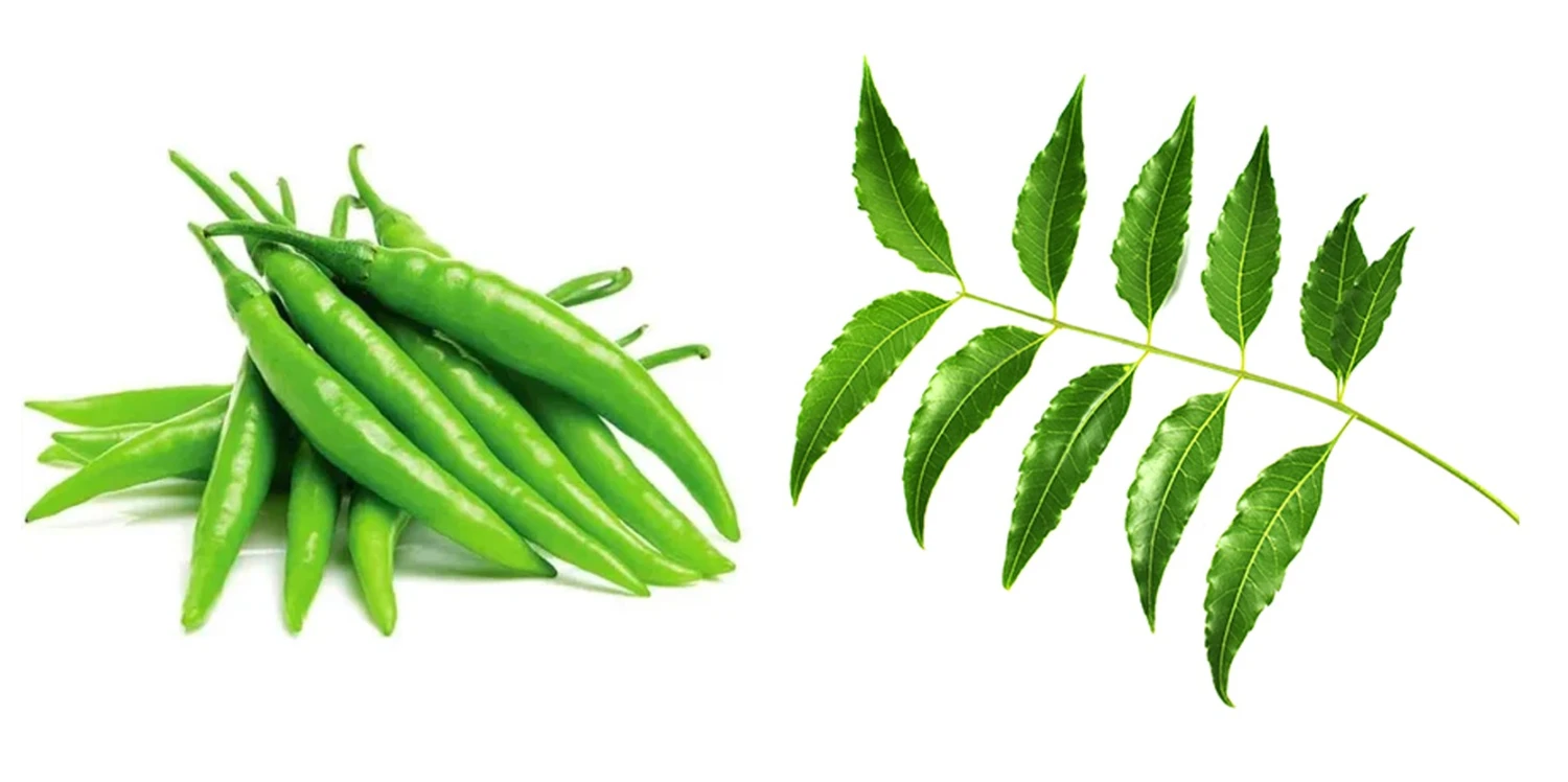 roamiruhai hihifathu beys