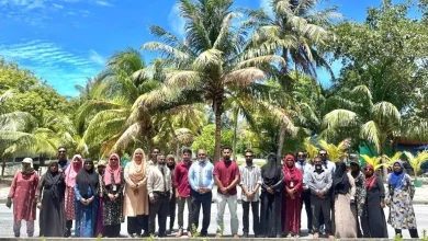 l gun 5 million tree