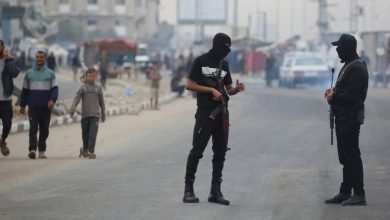 photo 6300748286758947782 y