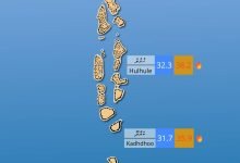 IMG 20260411 202523 242