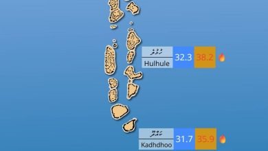 IMG 20260411 202523 242