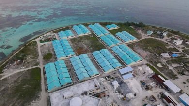 IMG 20260411 202526 505