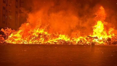 IMG 20260411 202532 700