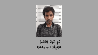 ali hamid