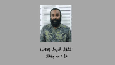 hayyaru