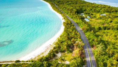 laamu