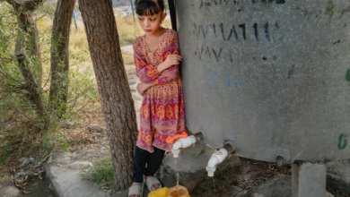 afghan
