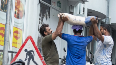 bidheysee workers