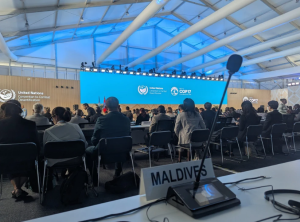 cop17