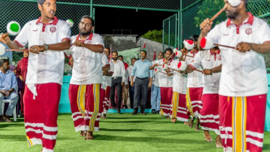 dhandi