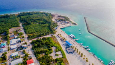 milandhoo