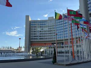 IAEA