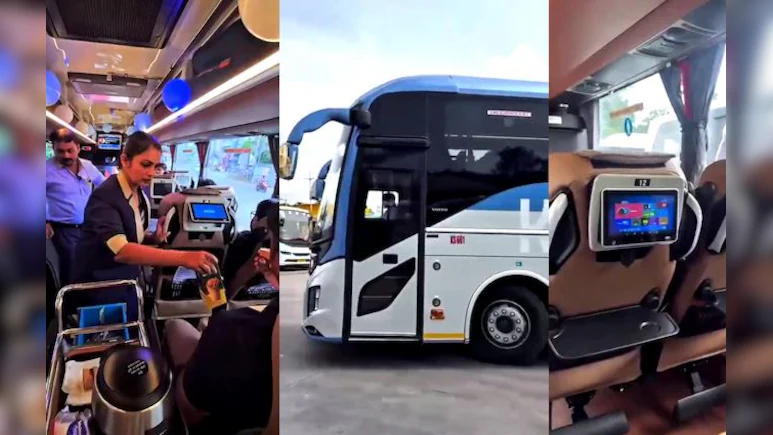 bus