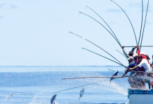 fishing