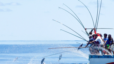 fishing