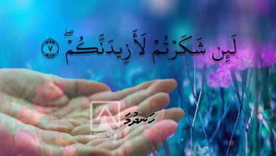 handhuma 2