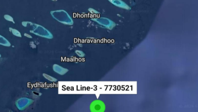 sealine