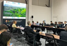 cbd cop17 midhath