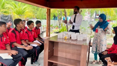 ghazee chool