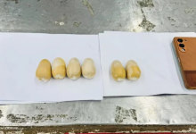 gold poop