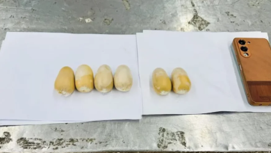 gold poop