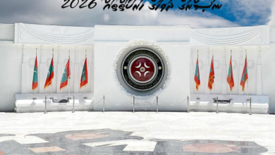 mndf
