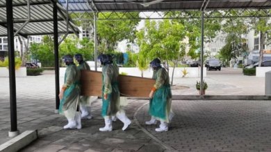 274762 3 45033f994ffbbecb65fa67837dffd1bc2233518f medium