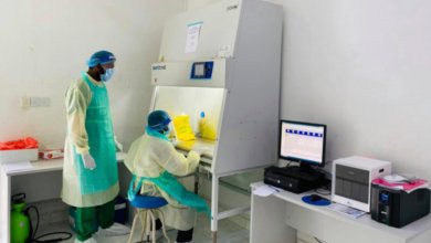 434DD9F6 E620 4DC1 B289 A5F3BCEE566E