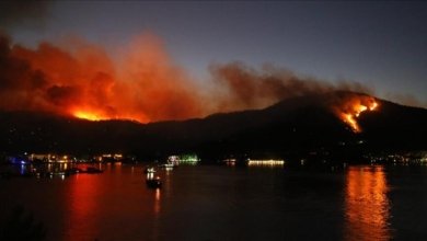 6103927a4e3fe1151c55a810