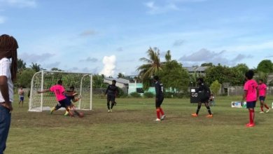 61908483 886620271681019 7735101375561859072 n