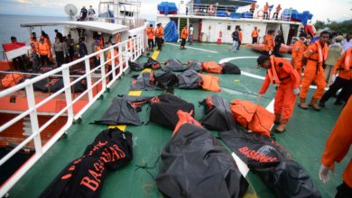 87C771B2 0FFE 4C39 ABA1 3E142134E756 1