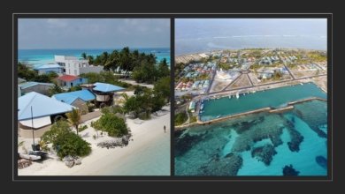 Dhiffushi Vilufushi