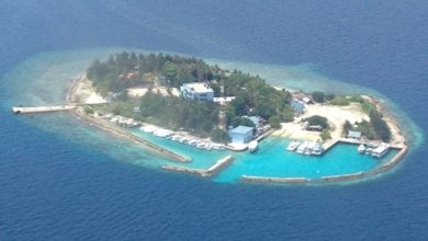 Dhoonidhoo