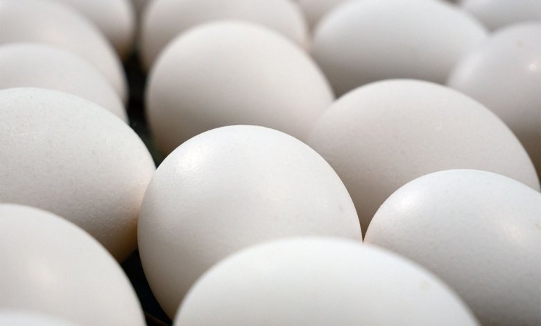 Eggs
