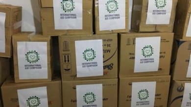 IAC Boxes