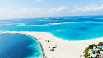 IMG 70d699e40d9ac7d2be7e4fc0cbf7c0cb V