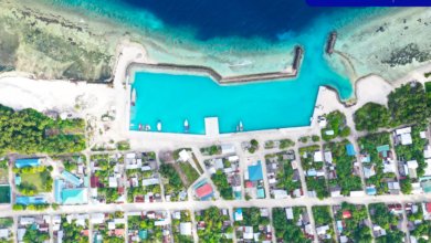 IMG 873e66723850d42e264390d4f24d276c V