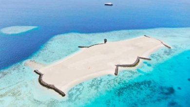 IMG 9bf09c046c8e844b1840ae7fcaaddc1a V