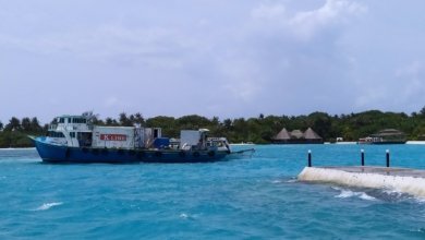 MNDF 11