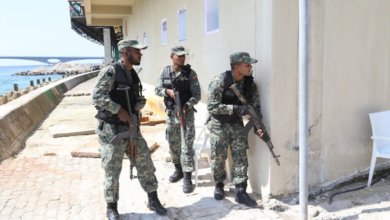 MNDF 2