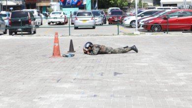 MNDF 6